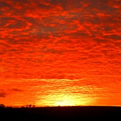 New American Classic (Taking Back Sunday)