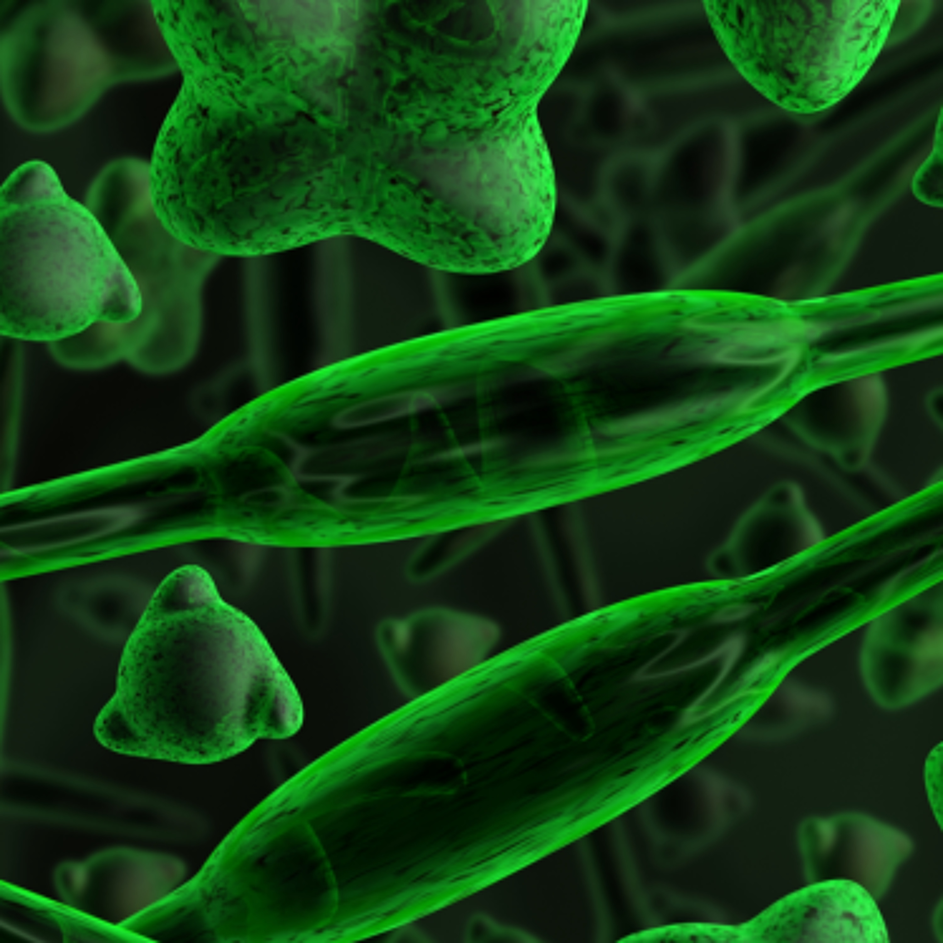 Phytoplankton episode artwork