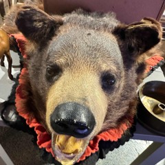 Gimme a sign - luhh Dyl