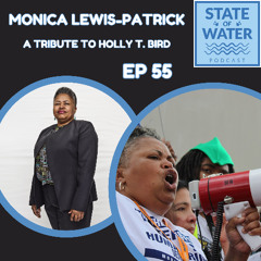 Ep 55 - Monica Lewis-Patrick