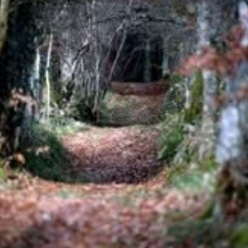 лезвие сеул – туман