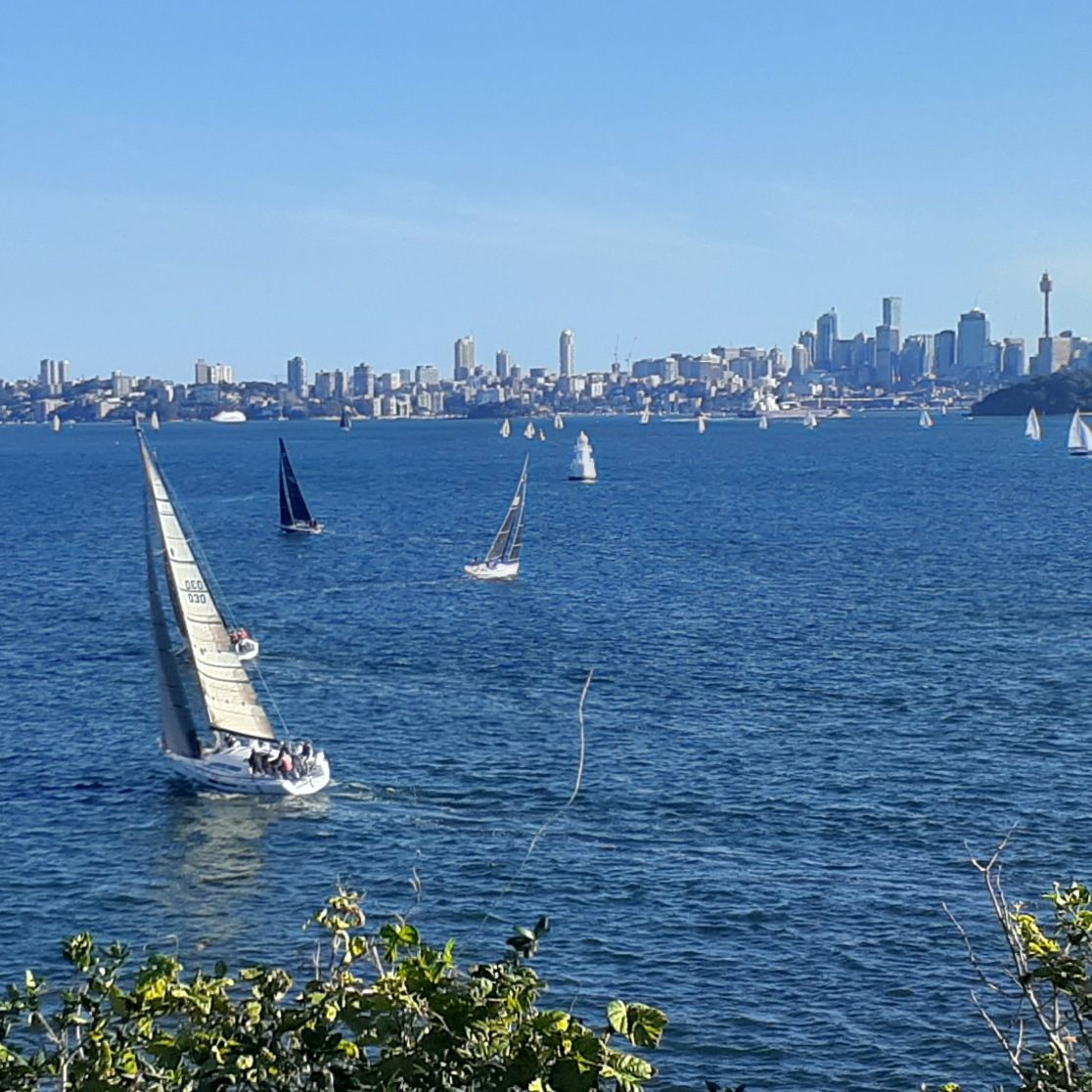 Sydney Coastal Walks, Maybe Whale Spotting -Mike Smith episode artwork