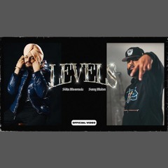 Levels - Sidhu Moose Wala x Sunny Malton (0fficial Mp3)