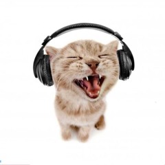 TATIS PLAYLIST