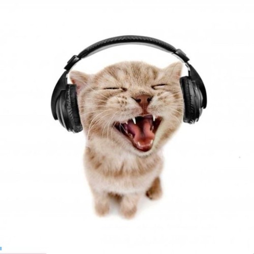 TATIS PLAYLIST
