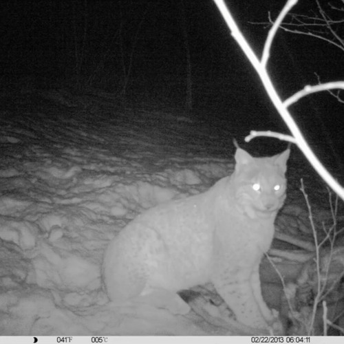 Vamp Money (SpaceGhostPurrp) - RIP STRO (RIP ROACH REMIX)