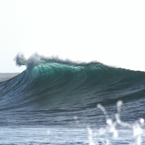 Seashore
