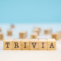 Sparta Quiz Base TEE