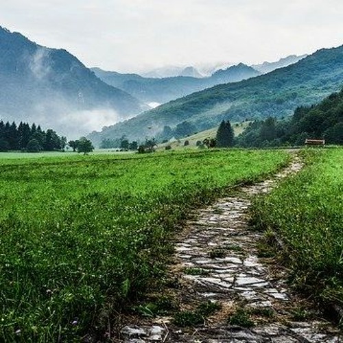 MindFlex Walking - Introduction to Somatic Walking and Gratitude Walking Practices
