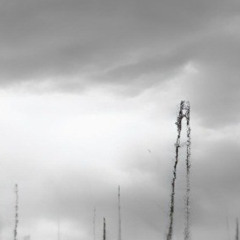 Никому не принадлежишь