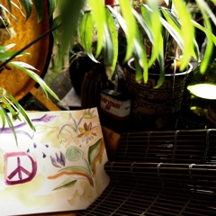 San Francisco (be sure to wear. . )