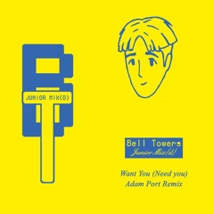 Bell Towers - Want You (Need You) Adam Port Remix // Public Possession