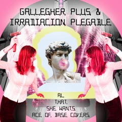 Todo lo que ella quiere (Gallegher Plus version)