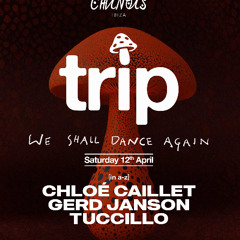 TRIP OPENING at CHiNOIS TUCCILLO warmup Set