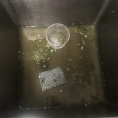 Watering Negative Seeds