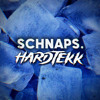 Télécharger la video: SCHNAPS. HARDTEKK