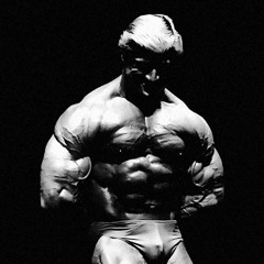 Tom Platz thought.