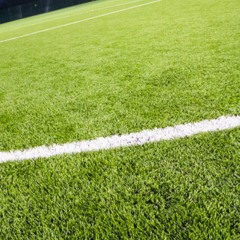 A Debate Over the Use of Synthetic Football Pitches in the Scottish Premiership