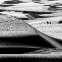 In the desert