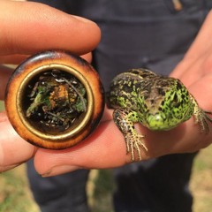 YVN KXX X Tot Cuba – 759