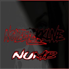 NoiZeTekk_live - Numb (Linkin Park)