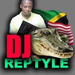 DJ REPTYLE POSITIVE DANCEHALL MIX