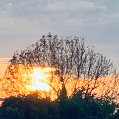 Under The Son Cassette to Digital(song)