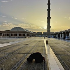 سورة الروم || القارئ جعفر السعدي.