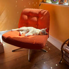 SUNDAY MORNING FUNKY DISCO