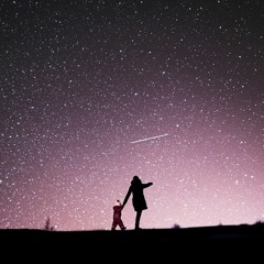 In the Stars