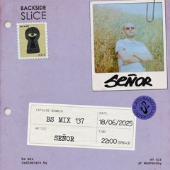 BS mixes