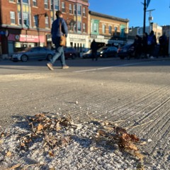 Joe Salemi talks about snow removal expectations.