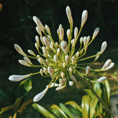 250727_emerge