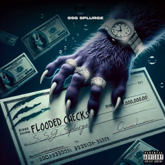 SSG Splurge - Flooded Check