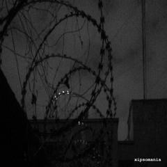 Roberta Von - Green Tea