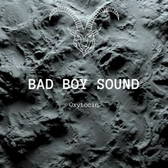 BAD BOY SOUND (Free Download)
