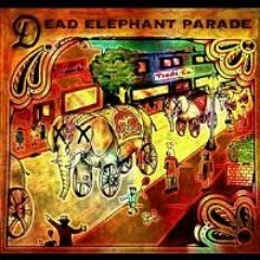 DEAD ELEPHANT PARADE-Your Mistake