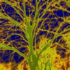 Stranded (Demo Version)