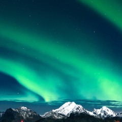 Coq - SportMafia Part Nizzv