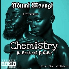 Ndumi Msongi - Chemistry [w/ Bash and SoundzTabuu]
