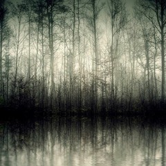Wood's tale