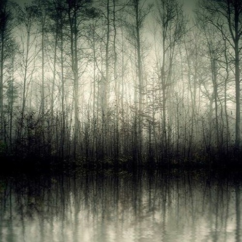 Wood's tale