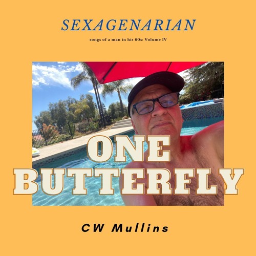 One Butterfly