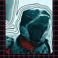 synth or guitar?