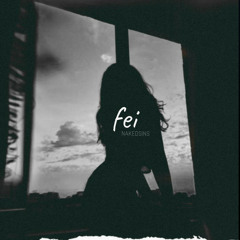 Fei (Remix)