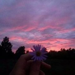 Nhápppppppppppp