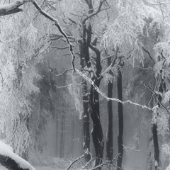 THANHPHOTUYETROI w/au1umn (old - speedup)