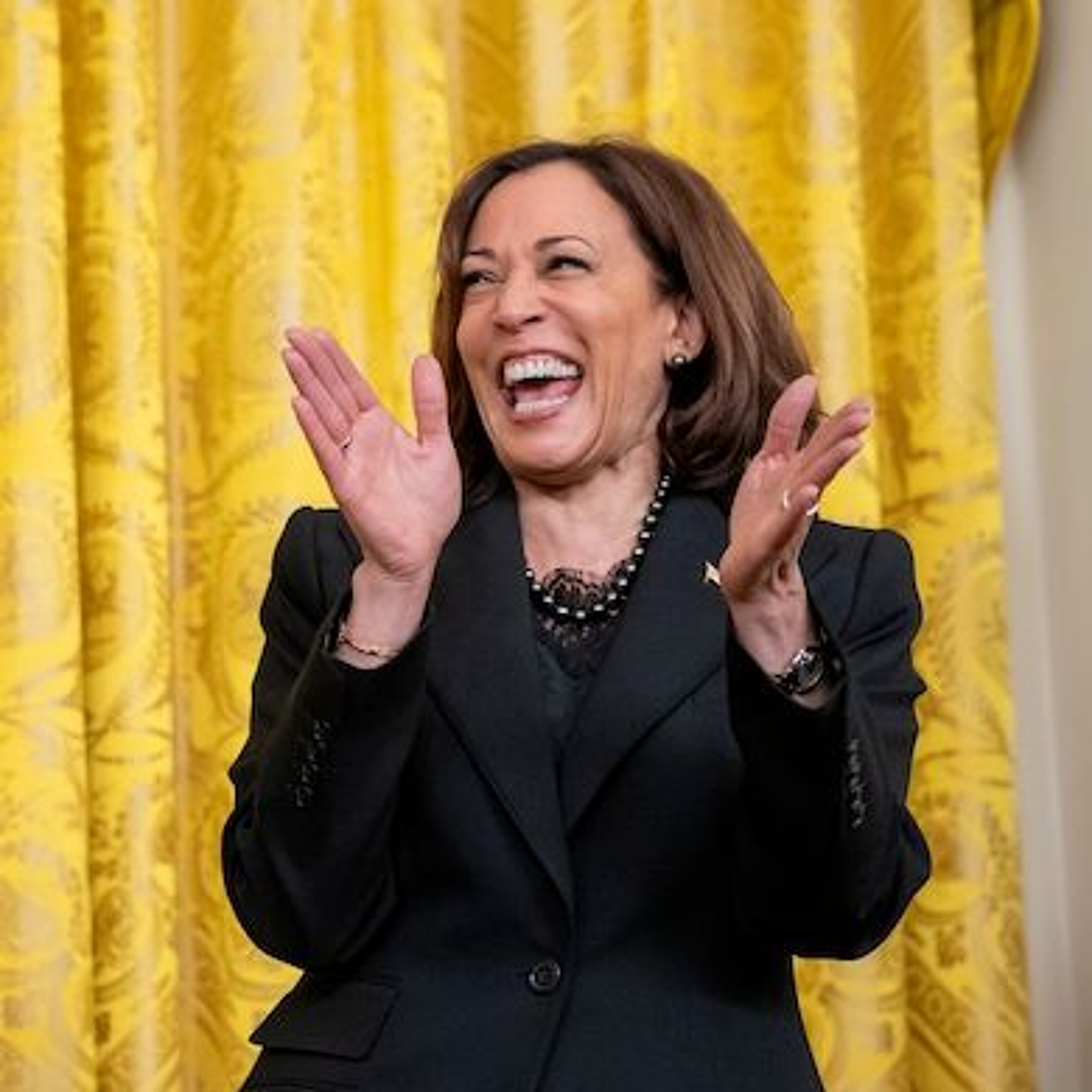 Democrats Don't Care If You Vote For Them And Don't Care If They Lose