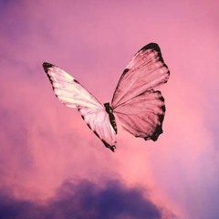 Nil Hennessy - Efeito Borboleta