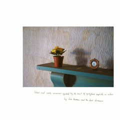 Untitled (Recollections on the Day We First Met, 25th of May 2019) with Lila Tristram